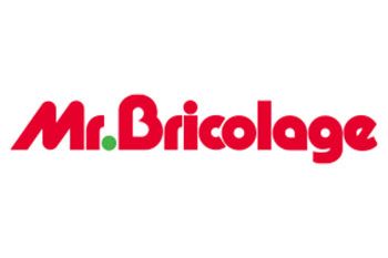 Mr. Bricolage